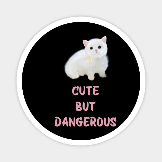 Cute but dangerous cat Magnet by Gingerbrunette